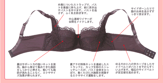 �o�X�g�A�b�v�΍�u�G�N�T�u���v�̍\��