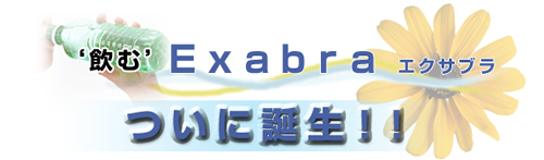 ���ށuExabra�@�G�N�T�u���v���ɒa���I�I