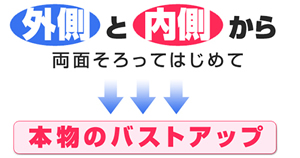 �O���Ɠ������痼�ʂ������
�͂��߂Ė{���̃o�X�g�A�b�v