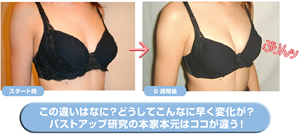 ���̈Ⴂ�͂ȂɁH
�ǂ����Ă���Ȃɑ����ω����H
�o�X�g�A�b�v�̌����̖{�Ɩ{���̓R�R���Ⴄ�I