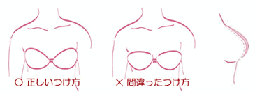 �k�[�u���ʔ�*�l�C�E�b��̃V���R���u���u�k�[�u���v�g�p�@